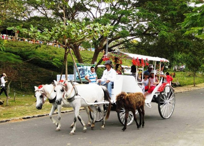 Năm ngọ, về Vũng Tàu cưỡi ngựa lấy may - ảnh 1
